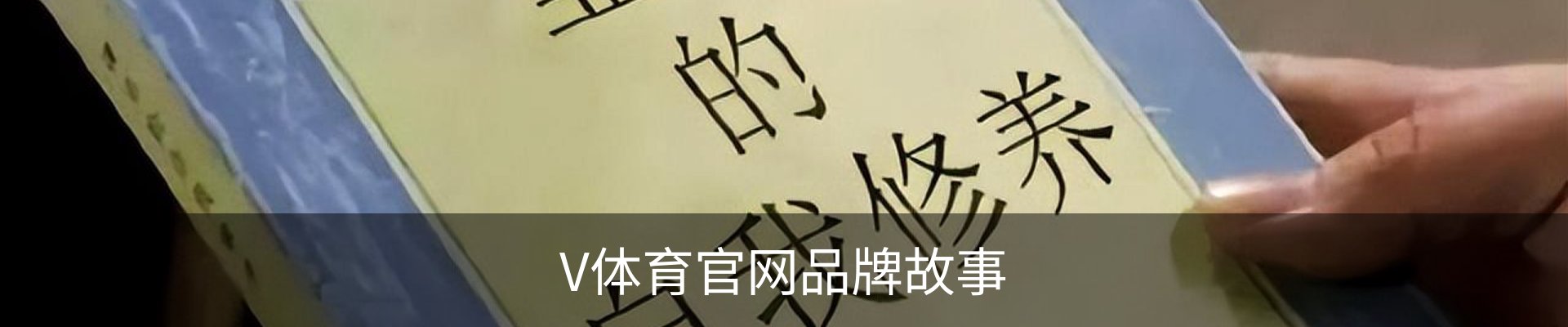 V体育官网品牌故事